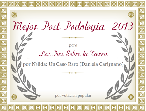 Mejor web de podología 2013